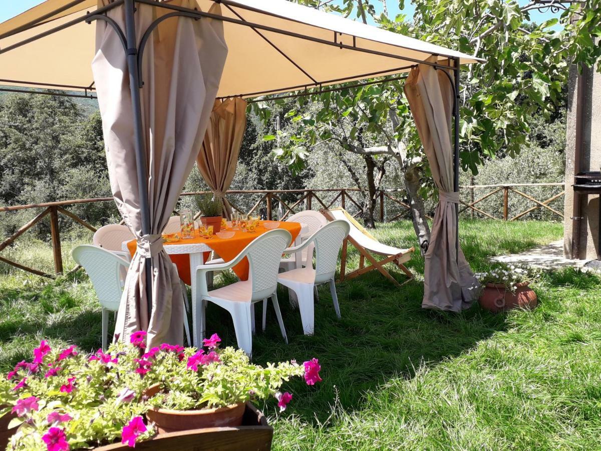Alle Preci Country House Santa Restituta Exterior foto