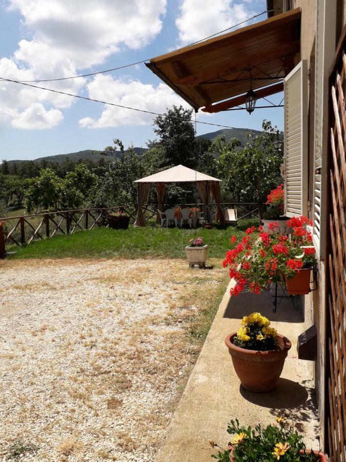 Alle Preci Country House Santa Restituta Exterior foto