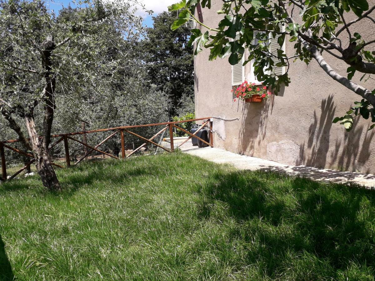 Alle Preci Country House Santa Restituta Exterior foto