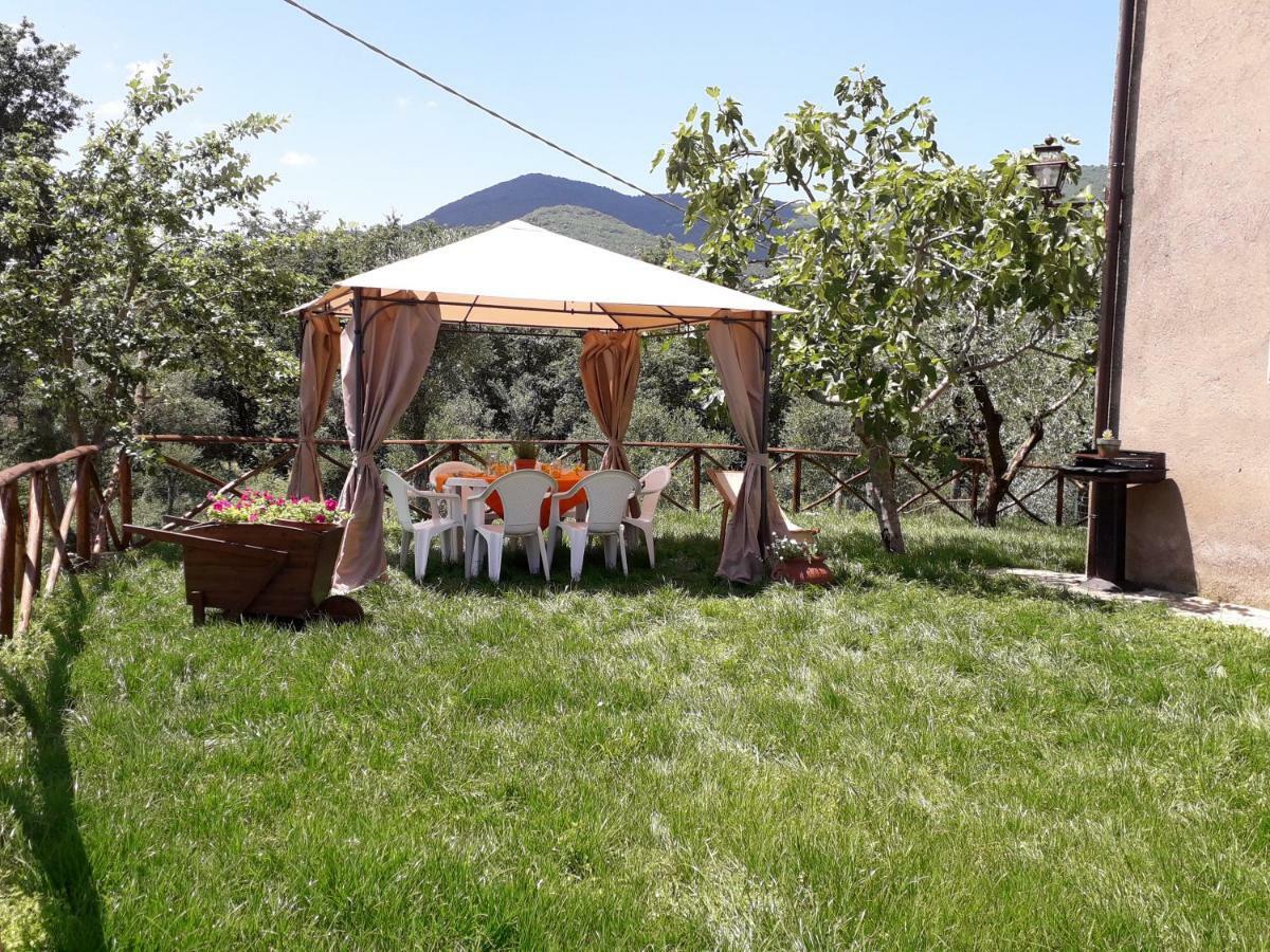 Alle Preci Country House Santa Restituta Exterior foto